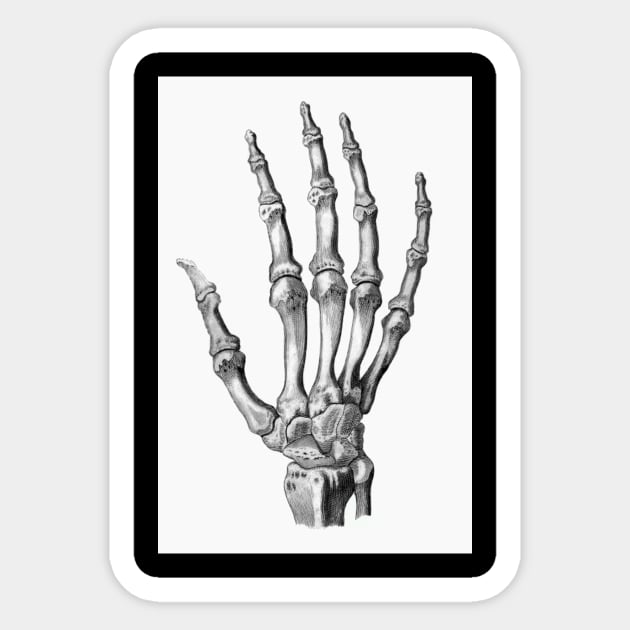 Skeleton Hand Sticker by VictorianGothic